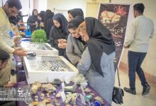 گزارش تصویری |  چهارمین کارگاه آموزشی  متالوژنی ایران  | متالوژنی کانسارهای طلا در ایران 